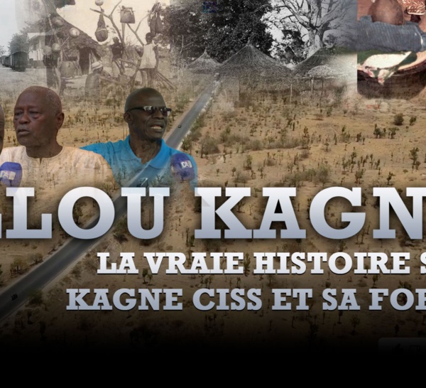 Fàtelliku : à la découverte de la vraie histoire sur Kagne Ciss et sa forêt Allou Kagne