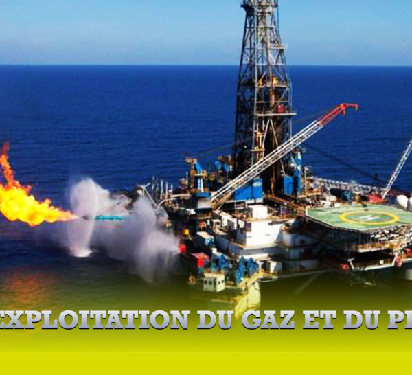 Exploitation du gaz et du pétrole : "Le Sénégal va livrer ses premiers barils de pétrole d'ici la fin de l'année 2023", Cheikh Niane SG du ministère du pétrole