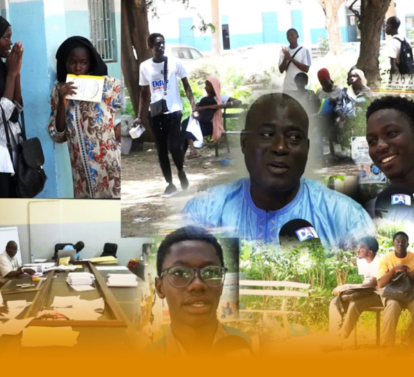 Sénégal Examen 2023 : la Compta, l’épreuve redoutée et abhorrée par les candidats de la Steg