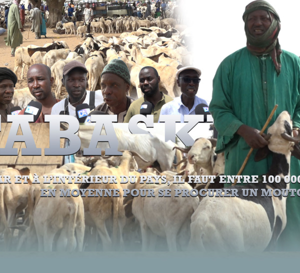 Tabaski 2023 : A Dakar et à l’intérieur du pays, il faut entre 100 000 à 150 000 fcfa en moyenne pour se procurer un mouton