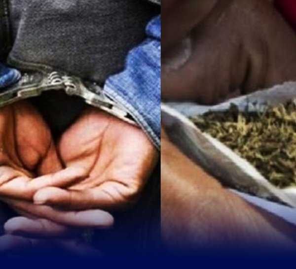 Détention de drogue : pris avec 50 grammes de chanvre indien, le prévenu M. Sy minimise « Lólu beuriwul ».