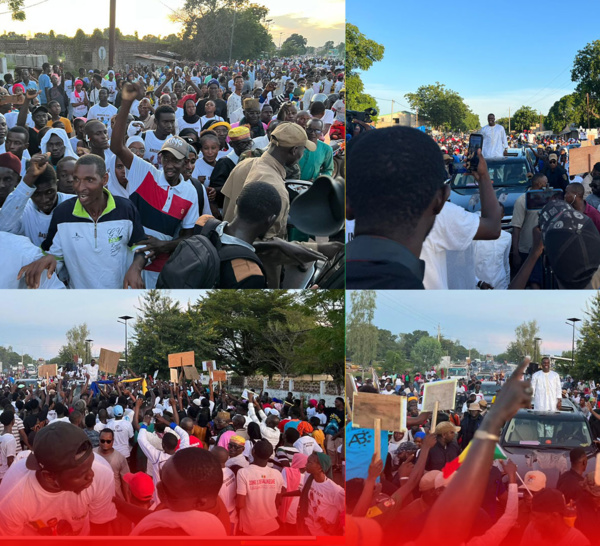 KOLDA : Liesse populaire à l'accueil du nouveau DG de la LONASE, Abdourahmane Baldé...
