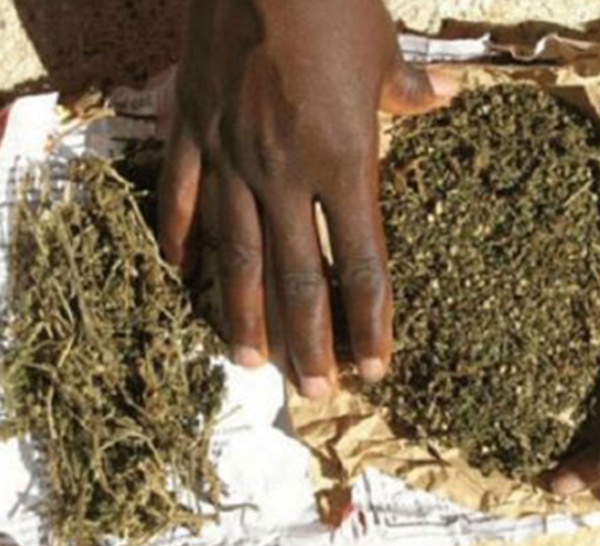Lutte contre le trafic de drogue: 4kg de Yamba, un véhicule Dacia saisis , 5 personnes interpellées, à Yenne