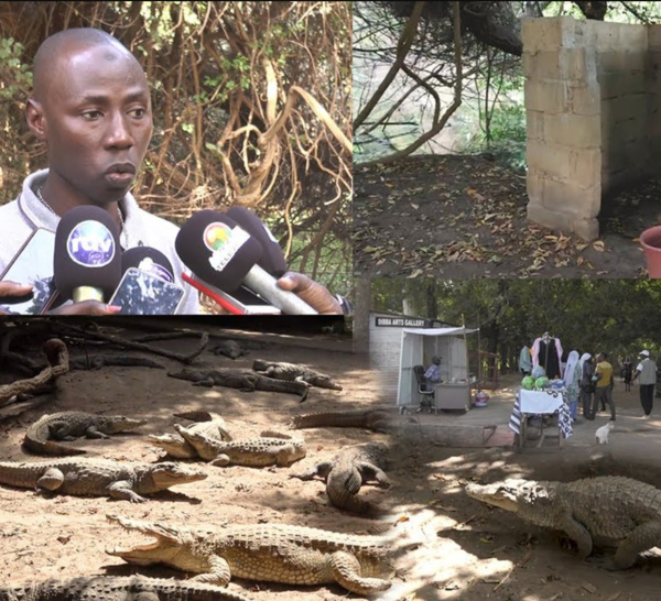 À la découverte de Kachikally Crocodile Pool : l'antre des mystérieux Crocodiles