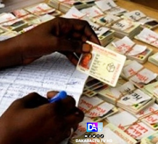 Ziguinchor : plus de 5.000 cartes d'électeur en souffrance à la préfecture