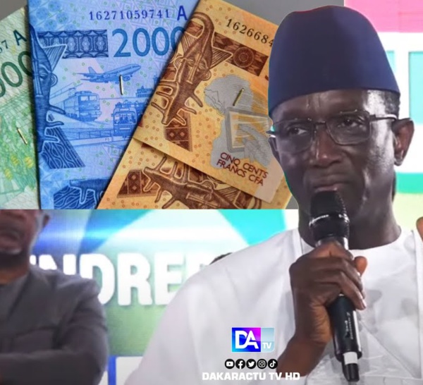 Création d’une nouvelle monnaie… « Le Sénégal n’a pas encore les moyens de… » (Amadou Bâ)