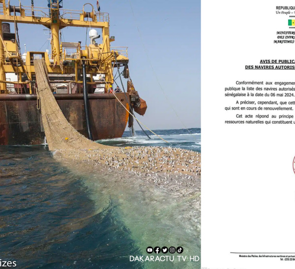 Pêche : L’Etat publie la liste de 132 navires nationaux et 19 bateaux étrangers autorisés à naviguer dans les eaux sénégalaises