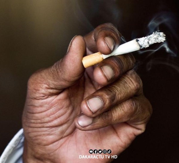 Conséquences du Tabac : Le Sénégal perd 122 milliards de francs contre 24 milliards de recettes