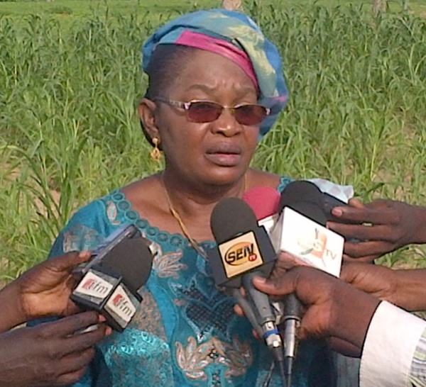 AÏDA MBODJ LYNCHE LE PRÉFET DE BAMBEY : «C'est un incompétent...et s'il appartient à l'Apr, qu'il se dévoile! »