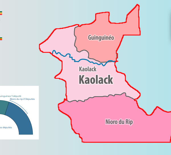 [INFOGRAPHIE] Sénégal/Législatives 2024 : Visualisez les résultats provisoires de la région de Kaolack