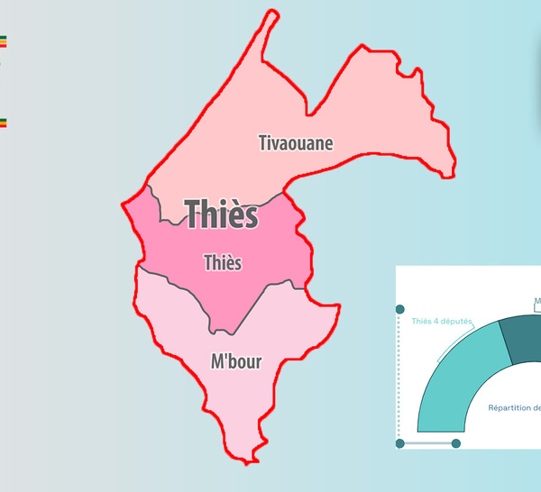 [INFOGRAPHIE] Sénégal/Législatives 2024 : Visualisez les résultats provisoires de la région de Thies