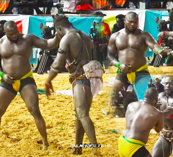 Modou Lo triomphe face à Siteu dans un combat dantesque : Le Roi des Arènes s’impose une fois de plus!