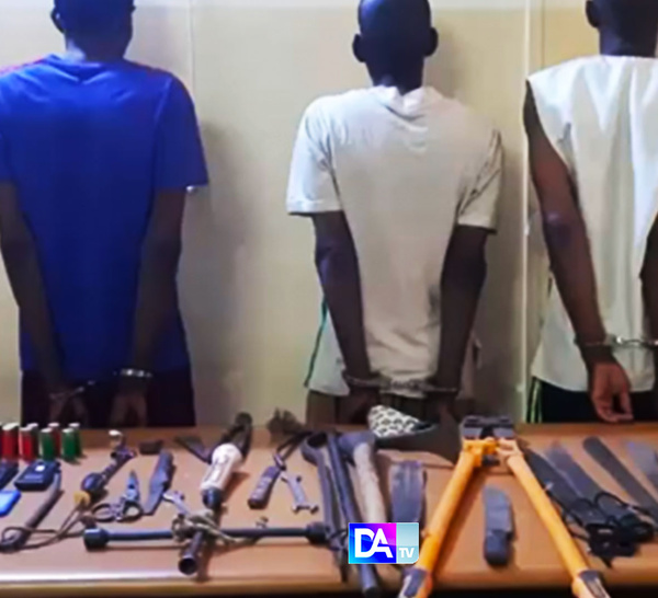 Des voleurs armés de pistolets et machettes, un vigile mutilé : Un gang de bergers face à la perpétuité