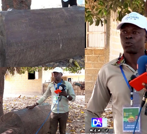 Kabrousse :  Quand le Tam-Tam Téléphonique joue un rôle fédérateur dans les villages de la Basse Casamance