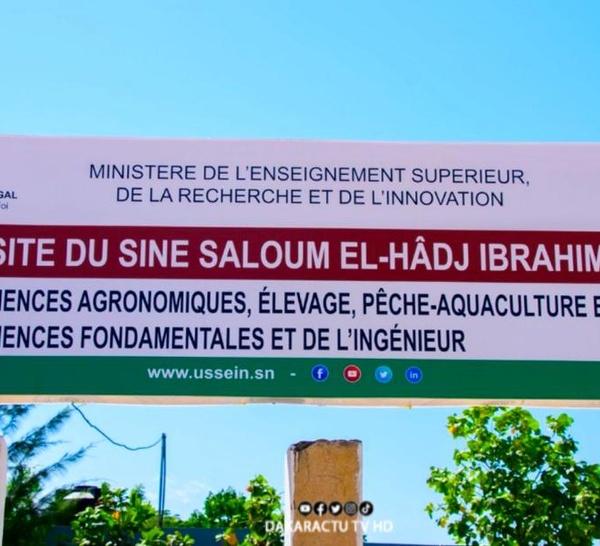 Licenciement annoncé de 328 agents permanents du CROUS-Sine Saloum : L’intersyndicale alerte les autorités étatiques