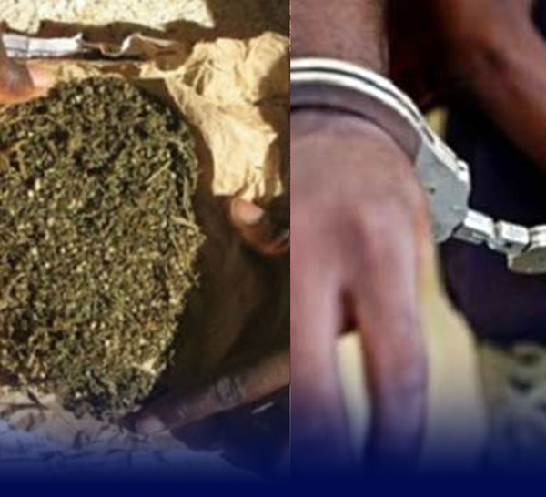 Ziguinchor : S. Mbaye interpellé  avec 03 kg de drogue