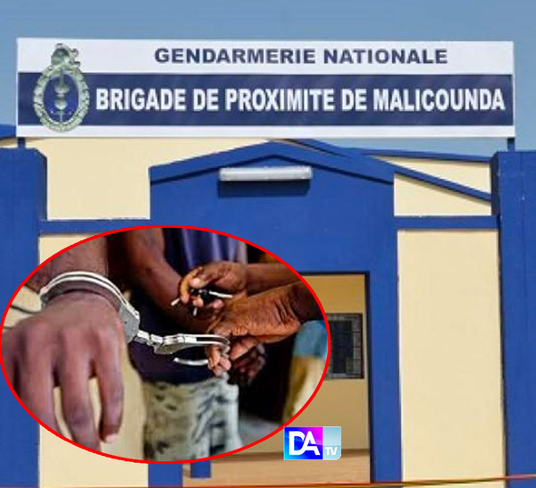 Litige foncier, violences et vidéo compromettante : Trois “Thiantacônes” violentent un homme, filment le commandant de la gendarmerie et se partagent la vidéo
