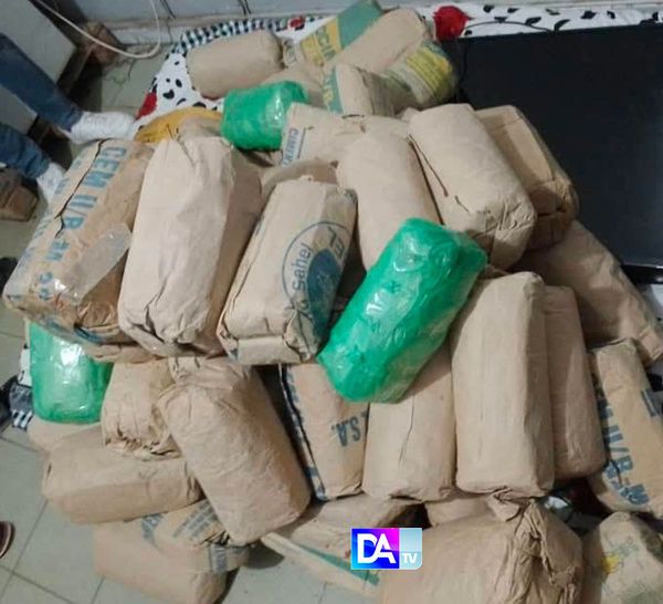 Parcelles Assainies : Un trafiquant pris la main dans le sac…66 Kilogrammes de Chanvre Indien Découverts !