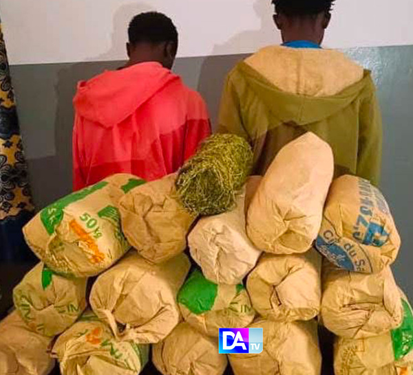 Sédhiou : 15 kg de “YAMBA” saisis, deux individus tombent dans les filets de la police
