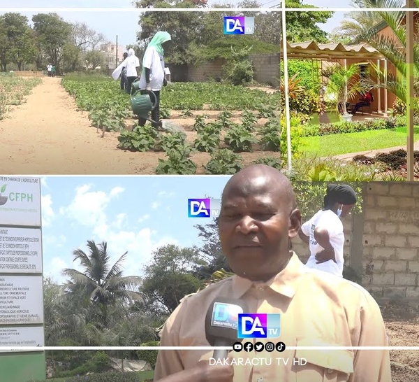 Horticulture : immersion au cœur du centre de formation horticole de Cambérène