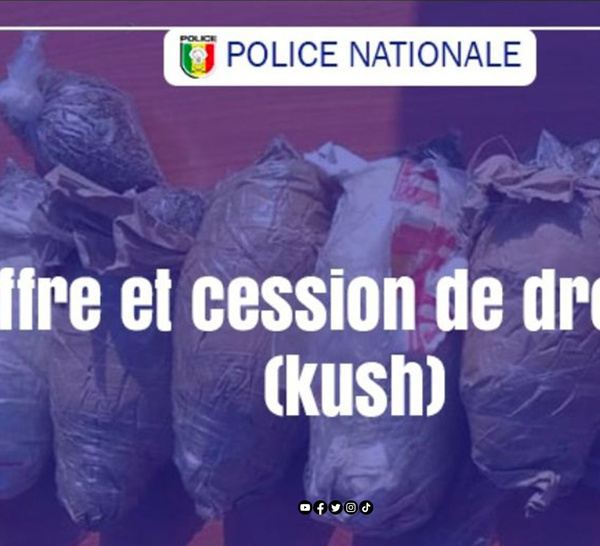 30 “képa” de kush dans un sachet blanc : la patrouille qui fait tomber un dealer aux HLM Biscuiterie