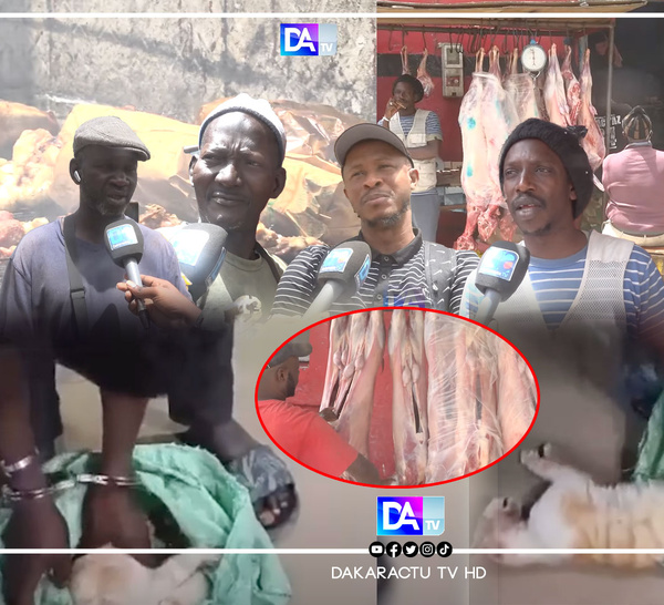 Scandale : Un vendeur de brochettes de viande arrêté avec un chat dans son sac, la population sous le choc...