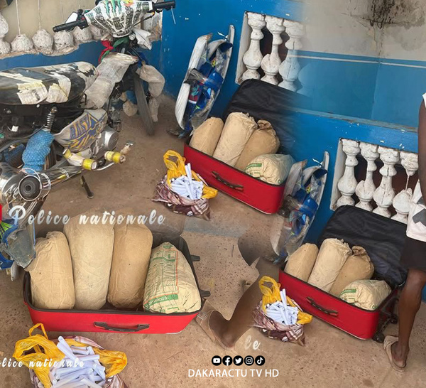 Kolda : Un dealer tombé avec 4 kg de chanvre et 69 cornets à Gadapara