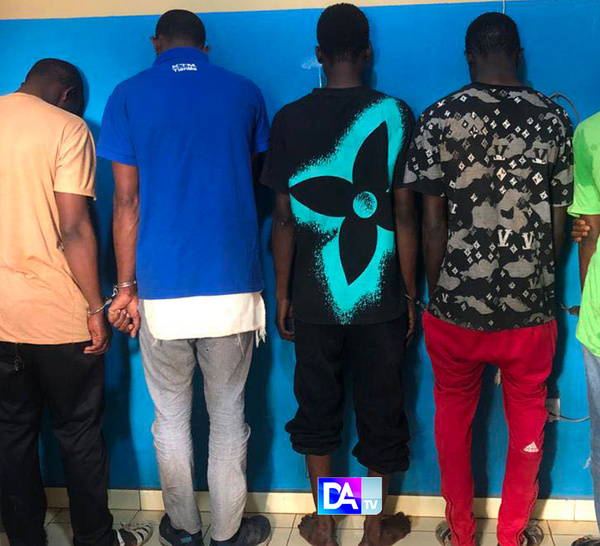 Saisie de chanvre à Diass : les 5 trafiquants en cavale arrêtés par la Gendarmerie