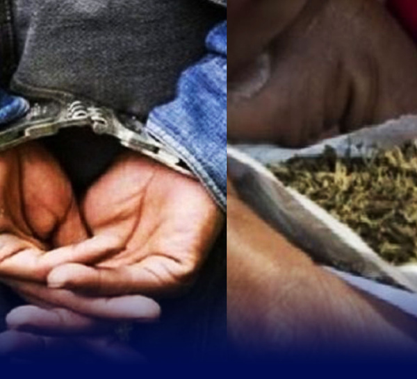 UCAD : l’étudiant Fallou Mbaye tombe avec 61 cornets de chanvre