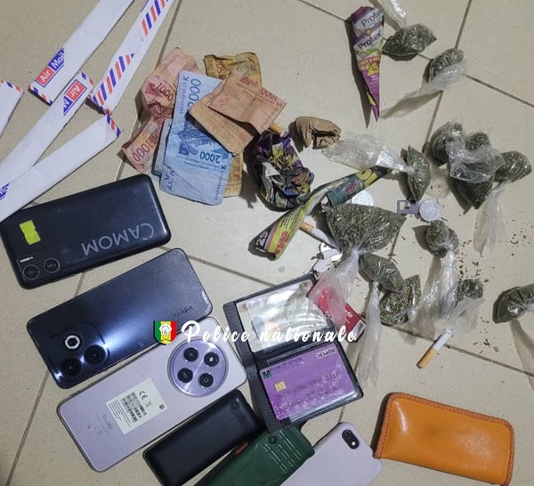Brigade régionale des Stupéfiants de Dakar : 15 individus interpellés entre Bambilor et Jaxaay pour trafic de drogue