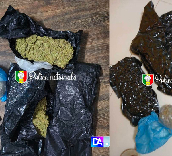 Dakar-Somone-Californie : un vaste réseau de trafic de drogue démantelé par l’OCRTIS