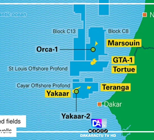 Sénégal - Pétrole : L'exploitation de Yakaar Teranga reportée à une date indéterminée
