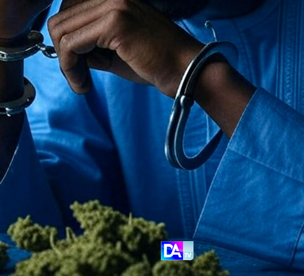 Mboro – Accro au chanvre, trahi par son père : « Mon père m’a vendu » S. Bâ sous les verrous, son sort connu le 4 juillet