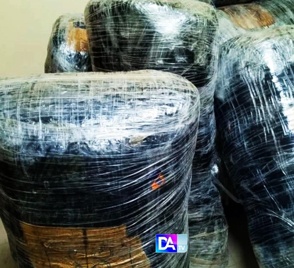 Saly : L’Ocrtis frappe fort à Fadial ! Une saisie record de 245 kg de chanvre indien