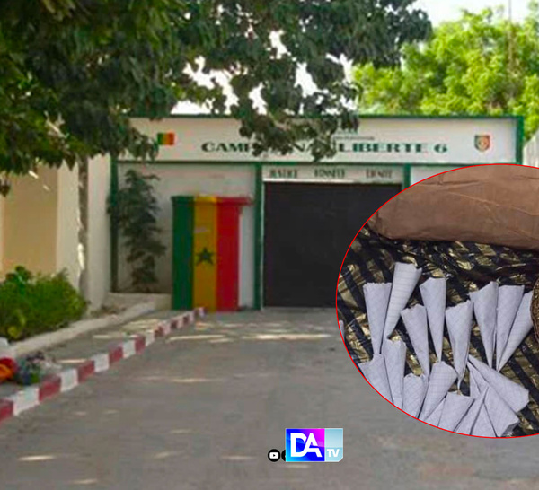 Camp pénal : Le “baron du chanvre” dirigeait son cartel depuis sa cellule – Révélations sur un trafic XXL orchestré par Maodo Malick Diop