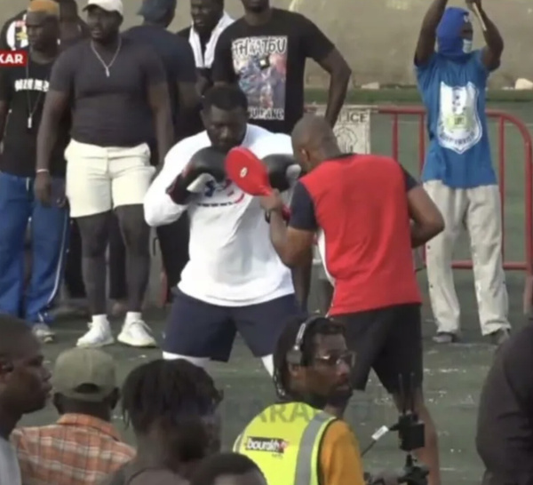 Séance de boxe de Balla Gaye 2 :le Lion de Guédiawaye rajeuni et fait sensation auprès de son public