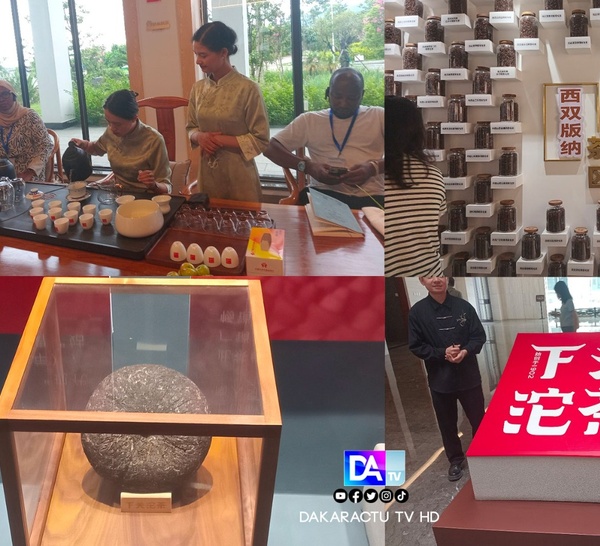 [Reportage] Thé chinois vs Ataya sénégalais : quand le thé transcende les frontières