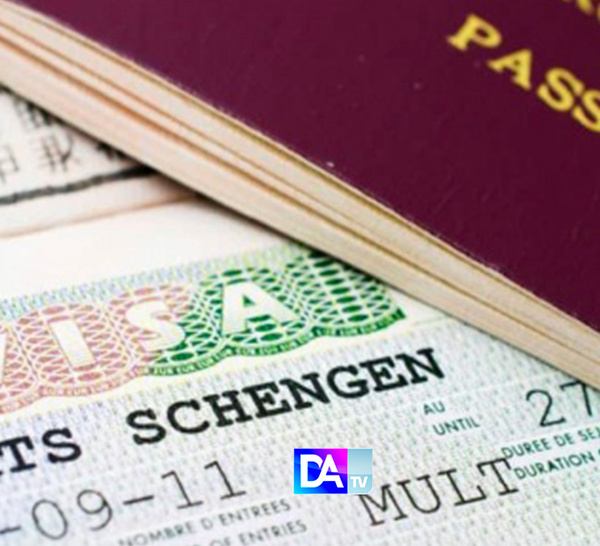 Trafic de faux visas : la Dnlt démantèle un réseau tentaculaire reliant Dakar, Conakry et les États-Unis
