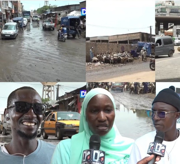 Insécurité, insalubrité et inondations : En détresse, les habitants des "SERAS" appellent à l'aide