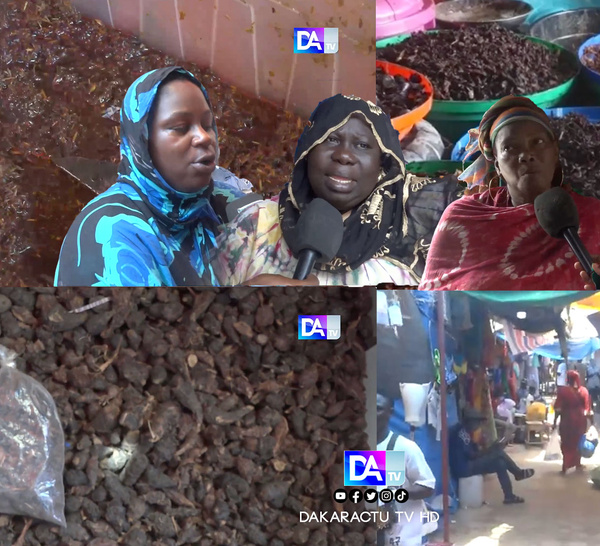 [Reportage] Hivernage au Sénégal : le “Gowé” et le "Sarkhatane", encens traditionnels pour chasser l’humidité