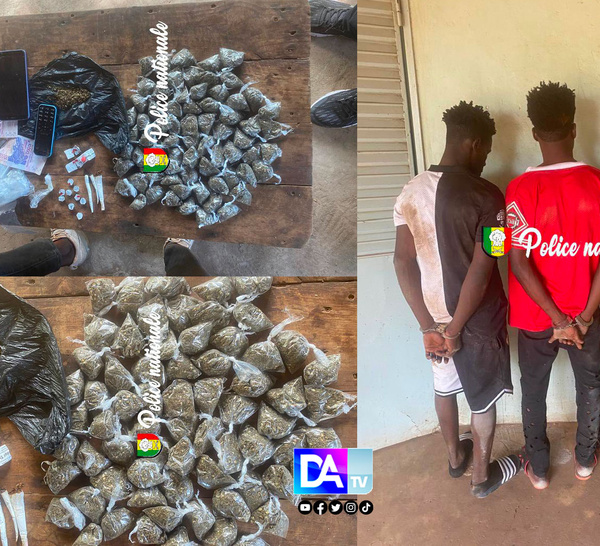 Kédougou : 3 trafiquants interpellés avec du chanvre indien, du Tramadol et une moto saisis