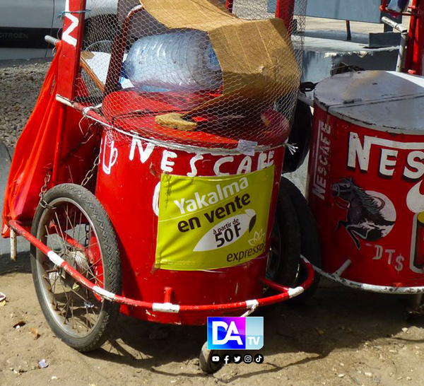 Drogue sous couvert de café : à Thiaroye Gare, le « pousse-pousse » camouflait un réseau de chanvre