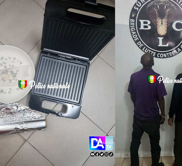 Ngor – Ouakam : la Sûreté urbaine de Dakar démantèle un réseau de cocaïne