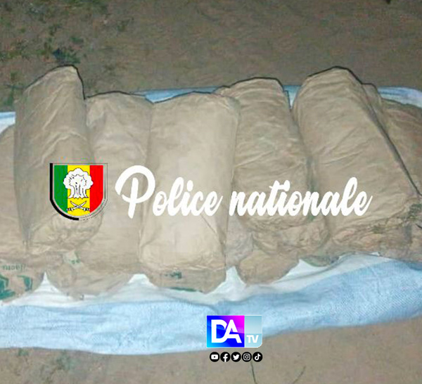 Saisie de 20 blocs de chanvre indien à Nguekhokh : opération conjointe des BRS de Thiès et de Kaolack