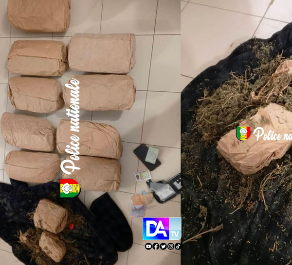 Dakar : un trafiquant interpellé avec 10 kg de chanvre indien soigneusement dissimulés dans une armoire