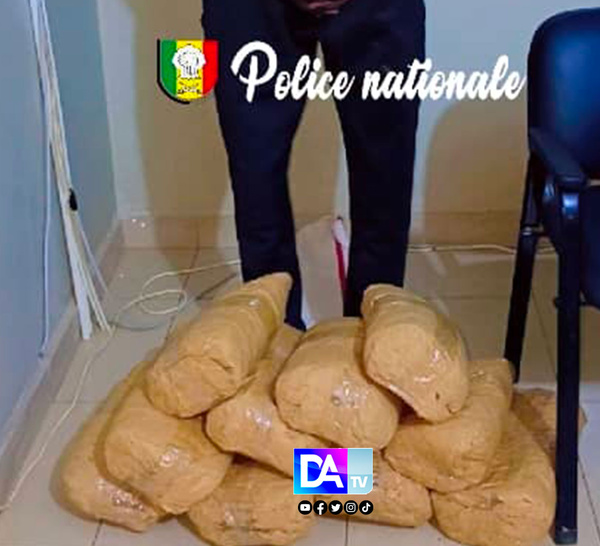 Rufisque : Saisie de 10 kg de chanvre indien et arrestation d’un trafiquant présumé