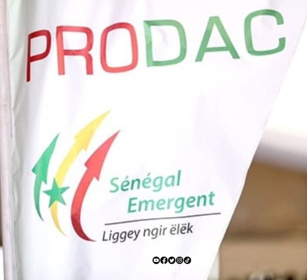 Affaire Prodac : un « supplétif » explosif relance le dossier et fait tomber Pape Malick Ndour