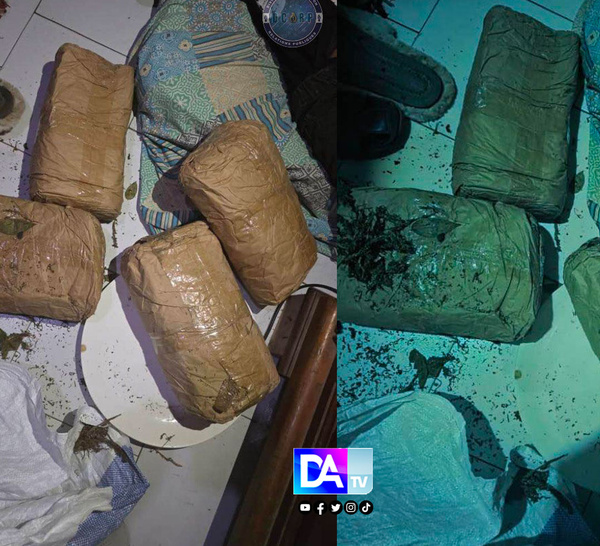 Keur Massar : un trafiquant arrêté avec 5 kg de chanvre indien