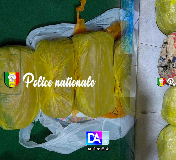 GRAND DAKAR – Un contrôle inopiné fait tomber deux présumés trafiquants de chanvre indien