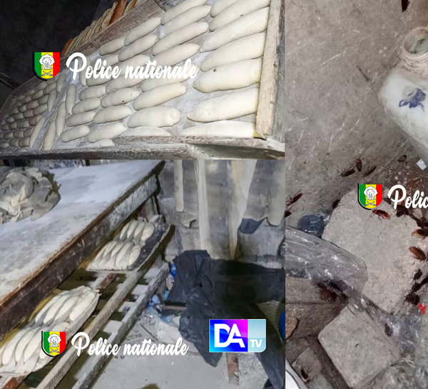 GRAND-YOFF – Une boulangerie clandestine démantelée : pain aux vers, cafards et insalubrité extrême au garage Bignona